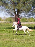 IMG_1620 IMG_1620