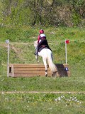 IMG_1623 IMG_1623