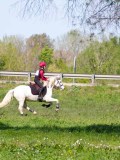 IMG_1631 IMG_1631