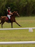 DSC09727 DSC09727