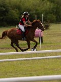DSC09729 DSC09729