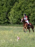 IMG_4212 IMG_4212