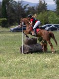 IMG_4214 IMG_4214