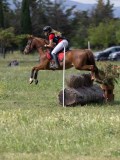 IMG_4215 IMG_4215