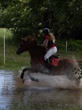 IMG_4222 IMG_4222
