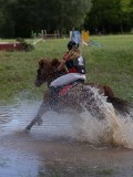 IMG_4224 IMG_4224