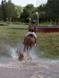 IMG_4226 IMG_4226