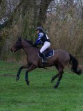 IMG_0715 IMG_0715