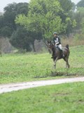 24_03466