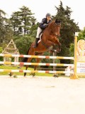 DSC06736 DSC06736