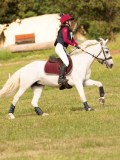 DSC09745 DSC09745