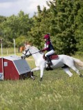 IMG_4245 IMG_4245