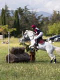 IMG_4246 IMG_4246