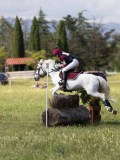 IMG_4247 IMG_4247
