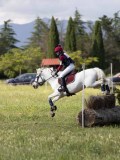 IMG_4248 IMG_4248