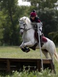 IMG_4249 IMG_4249