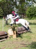 IMG_4252 IMG_4252