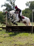 IMG_4254 IMG_4254