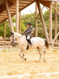 DSC06554 DSC06554