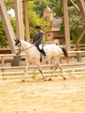 DSC06560 DSC06560