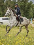 IMG_8386
