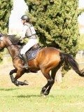 MAX03009