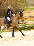 DSC07636 DSC07636