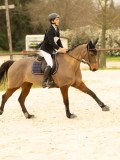 DSC07643 DSC07643