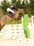 DSC07644 DSC07644