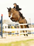 DSC07645 DSC07645
