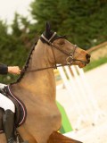 DSC07648 DSC07648