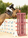 DSC07649 DSC07649