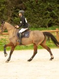DSC07650 DSC07650