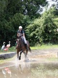 IMG_6753