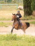 24_09803 24_09803