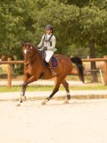 DSC03519 DSC03519