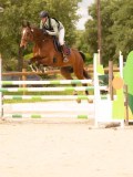DSC03520 DSC03520