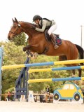 DSC03525 DSC03525