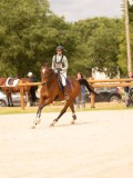 DSC03534 DSC03534