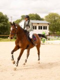 DSC03536 DSC03536
