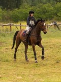 DSC07156 DSC07156