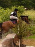 DSC07163 DSC07163
