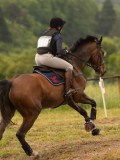 DSC07165 DSC07165