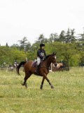 IMG_2200 IMG_2200