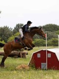 IMG_2201 IMG_2201