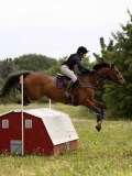 IMG_2203 IMG_2203
