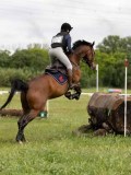 IMG_2214 IMG_2214