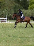 IMG_2217 IMG_2217
