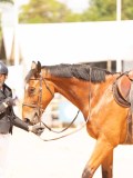 DSC07425 DSC07425