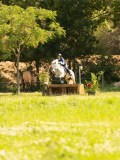 DSC00964